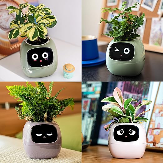 Ivy - Il Planter Intelligent
