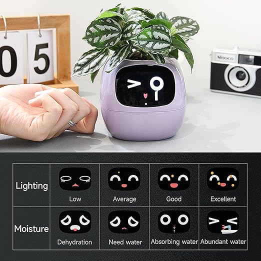 Ivy - Il Planter Intelligent