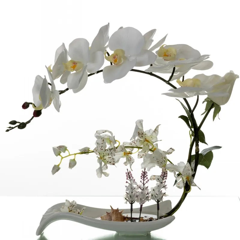 Eternal Grace™ - Arrangements da Butterflor Orchidea cun Vasa da Ceramica