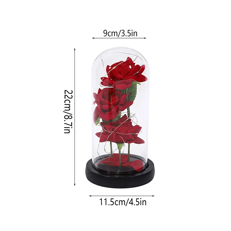 Agape Roses™ - Esposiziun da Lumin da Roes Encapsuladas
