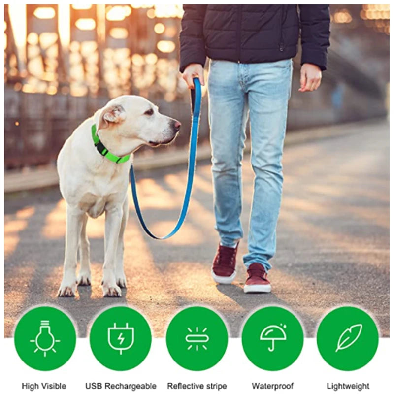 GlowBuddy™ Pet Collar