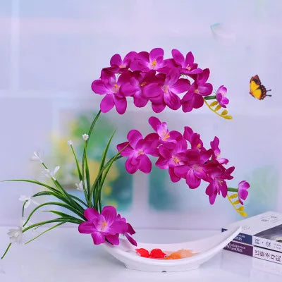 Eternal Grace™ - Arrangements da Butterflor Orchidea cun Vasa da Ceramica