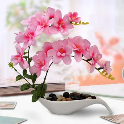 Eternal Grace™ - Arrangements da Butterflor Orchidea cun Vasa da Ceramica