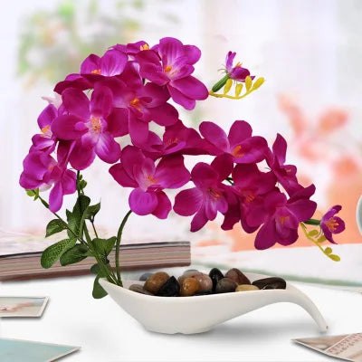 Eternal Grace™ - Arrangements da Butterflor Orchidea cun Vasa da Ceramica