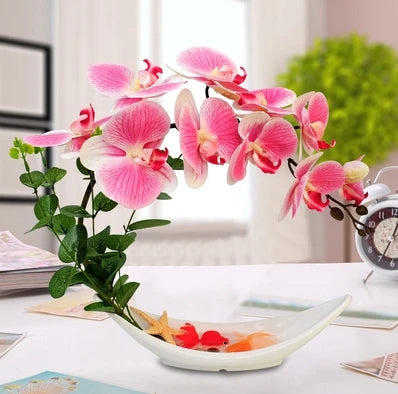 Eternal Grace™ - Arrangements da Butterflor Orchidea cun Vasa da Ceramica