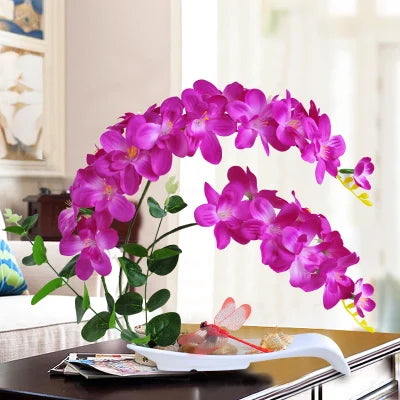 Eternal Grace™ - Arrangements da Butterflor Orchidea cun Vasa da Ceramica