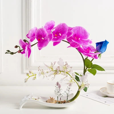 Eternal Grace™ - Arrangements da Butterflor Orchidea cun Vasa da Ceramica