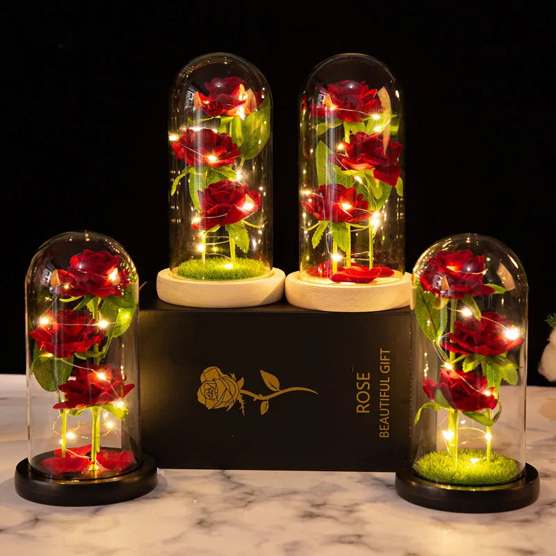Agape Roses™ - Esposiziun da Lumin da Roes Encapsuladas