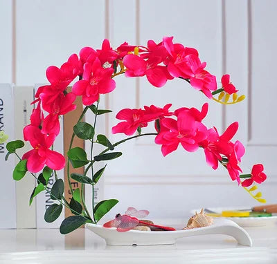 Eternal Grace™ - Arrangements da Butterflor Orchidea cun Vasa da Ceramica