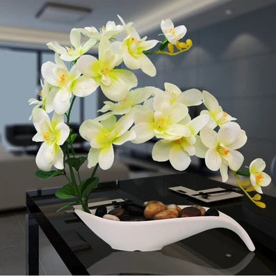 Eternal Grace™ - Arrangements da Butterflor Orchidea cun Vasa da Ceramica