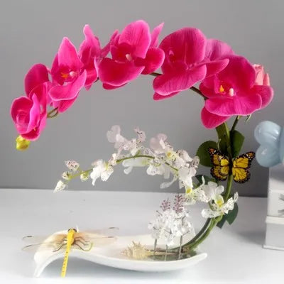Eternal Grace™ - Arrangements da Butterflor Orchidea cun Vasa da Ceramica