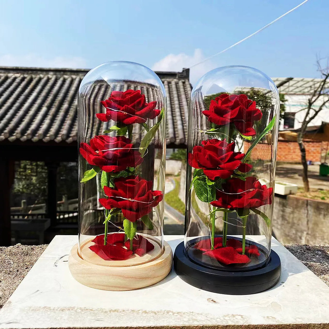 Agape Roses™ - Esposiziun da Lumin da Roes Encapsuladas