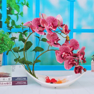 Eternal Grace™ - Arrangements da Butterflor Orchidea cun Vasa da Ceramica