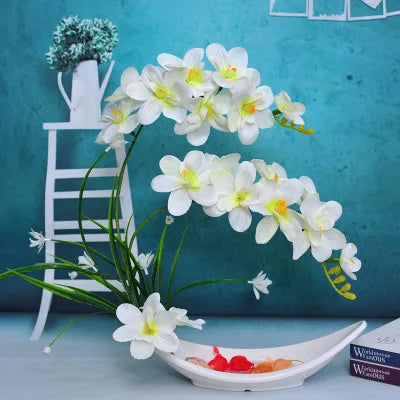 Eternal Grace™ - Arrangements da Butterflor Orchidea cun Vasa da Ceramica