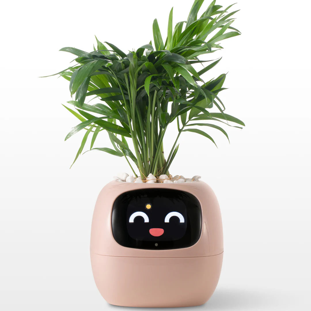Ivy - Il Planter Intelligent