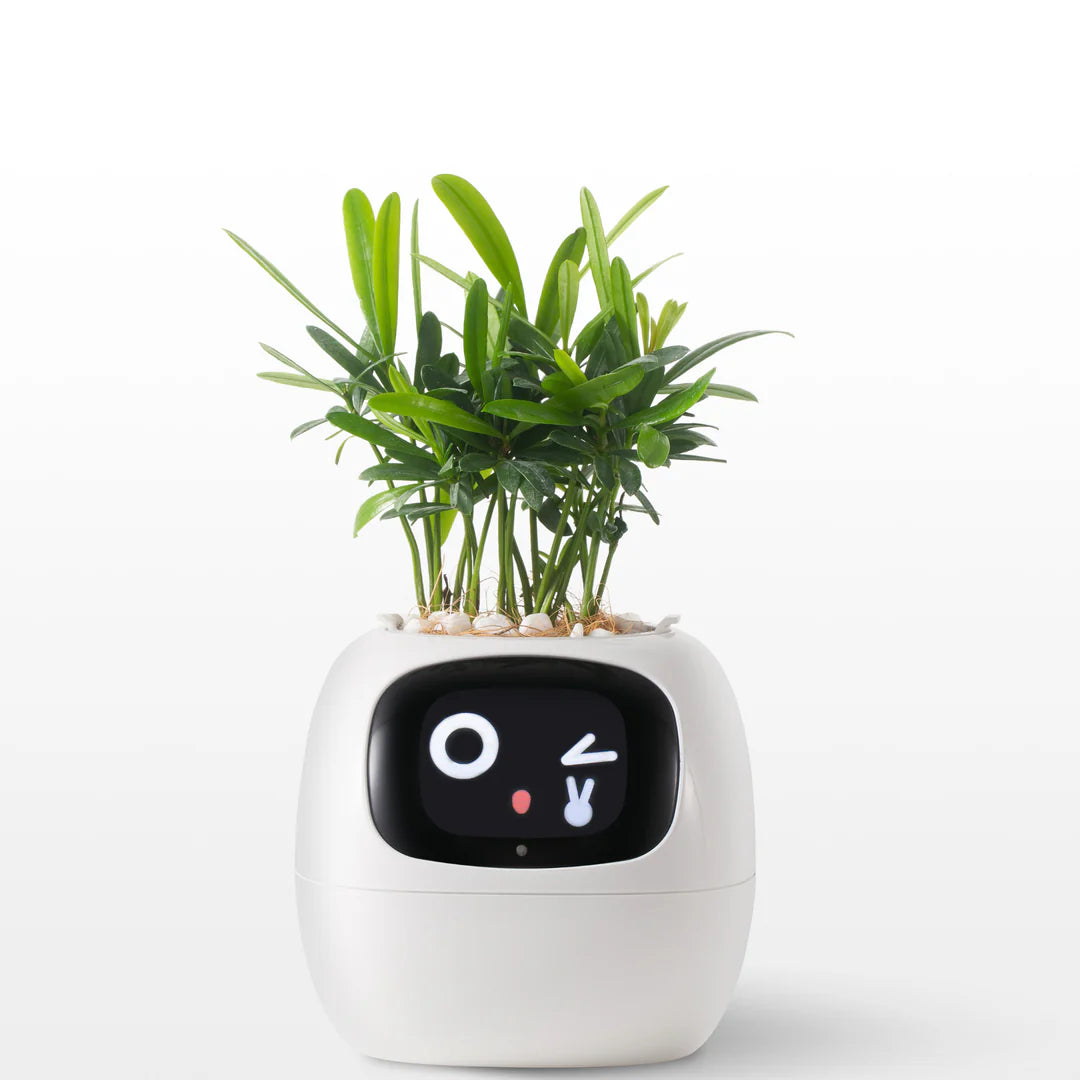 Ivy - Il Planter Intelligent