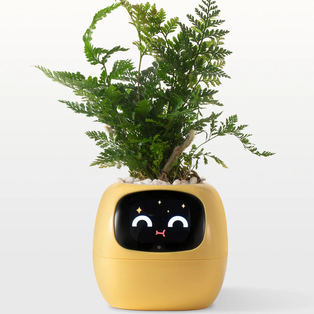 Ivy - Il Planter Intelligent