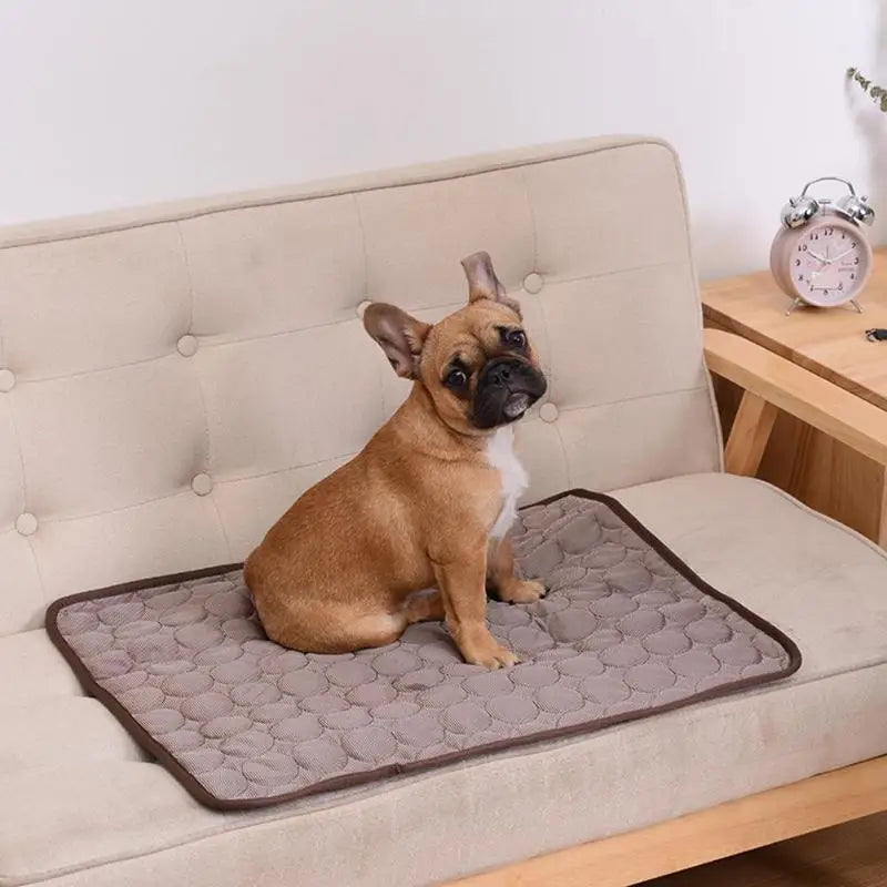 NapNest™ Chill Mat