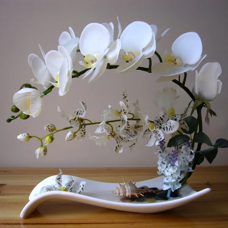 Eternal Grace™ - Arrangements da Butterflor Orchidea cun Vasa da Ceramica