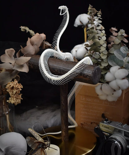 Natural Bone Snake Skeleton Specimen