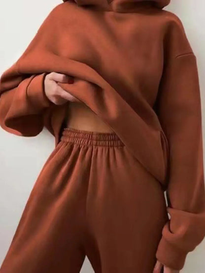 Oversized Minimalist Hoodie - 14 Colors