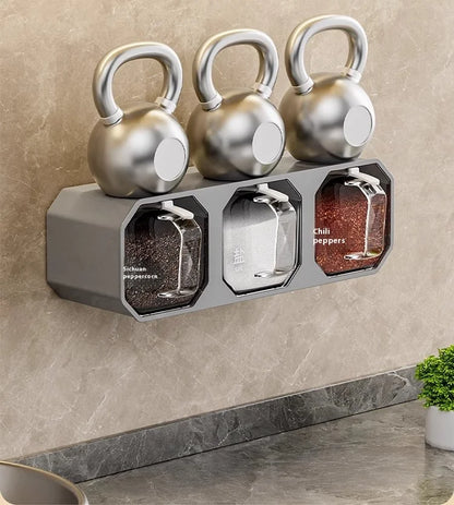 SpiceVault™ Wall-Mounted Spice Organizer