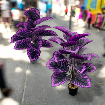 PURPLE TROPICAL FOLIAGE PLANT