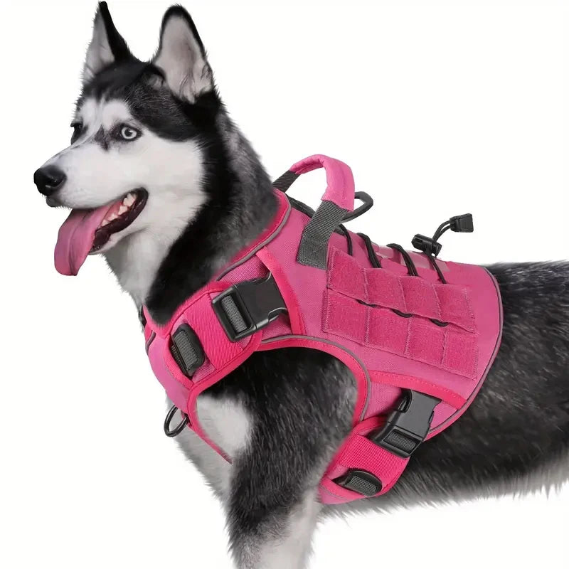 AlphaStride™ Harness
