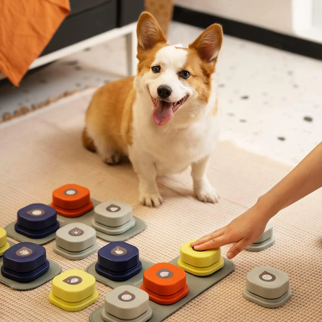 Woof to Words Button Set