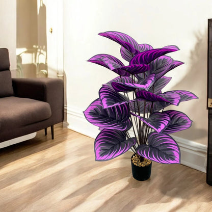 PURPLE TROPICAL FOLIAGE PLANT