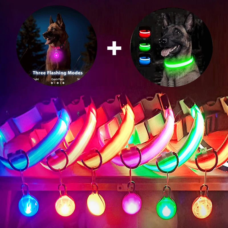 GlowBuddy™ Pet Collar
