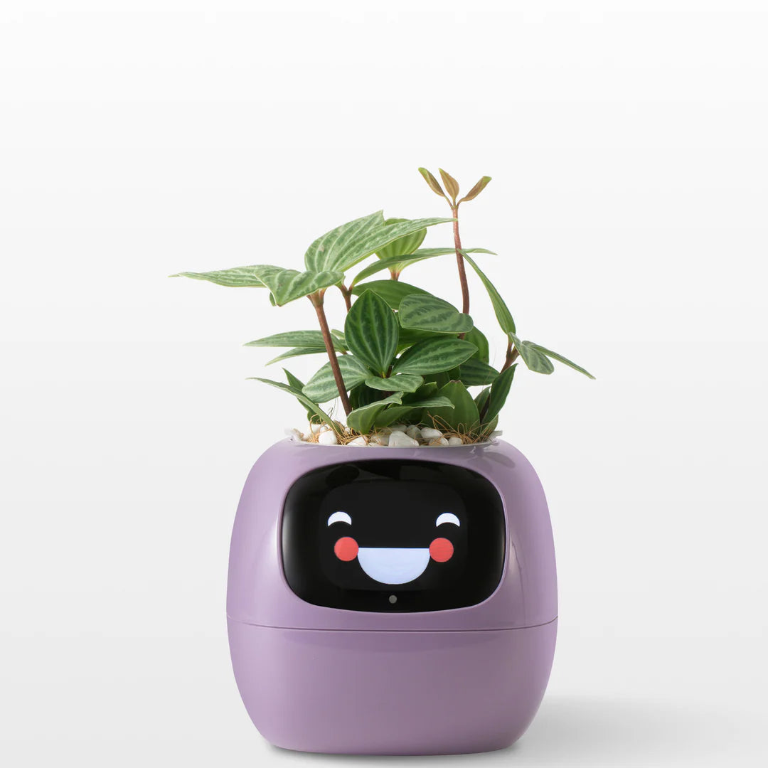 Ivy - Il Planter Intelligent